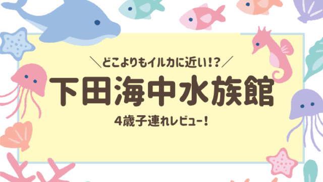 【下田海中水族館】4歳子連れレビュー！イルカと触れ合える感動体験＆子連れ旅に最適な理由