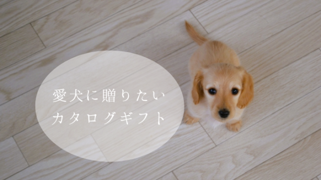 【犬専用カタログギフト】ギフトパレットは愛犬家に贈りたいおすすめのプレゼント
