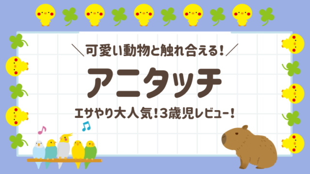 【アニタッチ】みなとみらいにある屋内型動物園に３歳子連れで行ったら楽しすぎた！人気の理由を徹底解説！レビューブログ