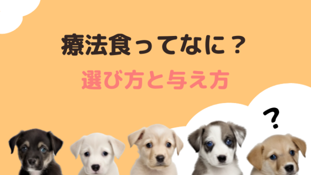 【愛犬のための最適な療法食ガイド】種類と効果を徹底解説