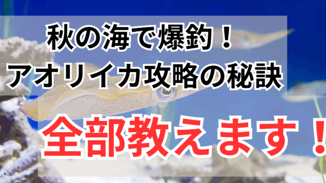 【初心者必見】秋のアオリイカ攻略法｜エギング経験「0」でも数釣りできるエギングのコツとおすすめ道具