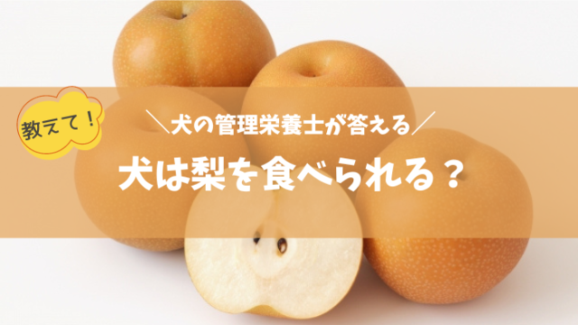 【犬に梨を与えても大丈夫？】犬の健康に役立つ梨の知識と与え方