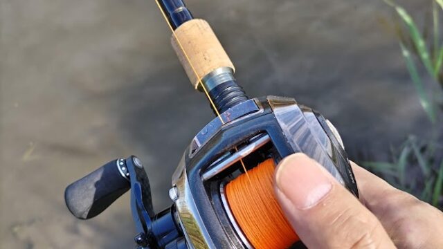 おすすめのナマズタックルを、初心者の方向けに選んでみました！