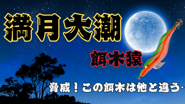 【エギング】え？勝手に釣れてるんやけど(驚)　満月大潮に餌木猿の「若葉」を使ったガチの感想！