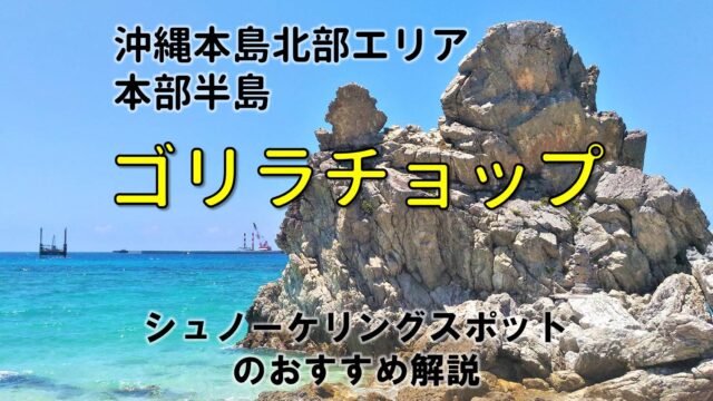 ゴリラチョップは沖縄本島のおすすめシュノーケリングスポット