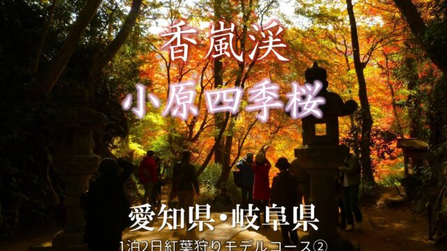 香嵐渓もみじと小原四季桜：愛知県紅葉狩りスポット