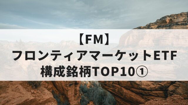 【新興国】フロンティアマーケットETF（FM）の構成銘柄TOP10①