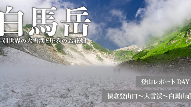 【白馬岳】王道ルート猿倉～大雪渓～白馬岳を紹介！大雪渓とお花畑が楽しめる