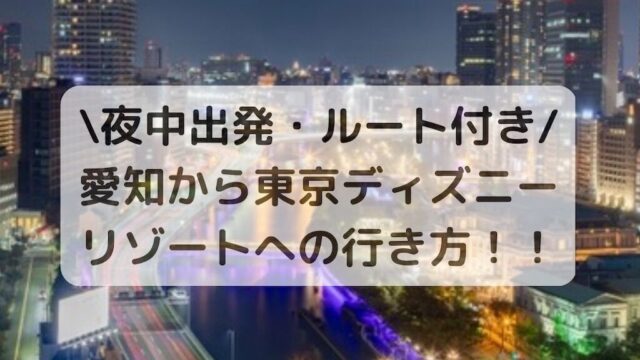 【ルート紹介】愛知からディズニー 子連れで車移動！