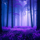 NOISE