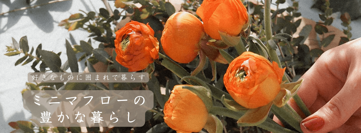 ミニマフロー